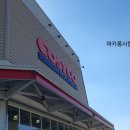 세종고속시외버스터미널(지상) 버스정류장 이미지