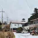 제주축산업협동조합 동물병원 | 제주여행 중 다녀온 마리네 동물병원