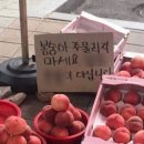 배꼽시계 이미지