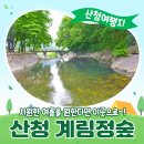 계림정야영장 이미지