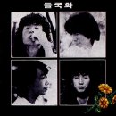 들국화 이미지