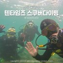 스쿠버월드 | 제주도 스쿠버다이빙 체험 리뷰 텐타임즈 이색데이트 후기