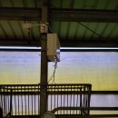 함평농장 이미지