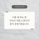 수선화세탁 이미지