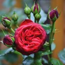 스마트폰 강의 이미지