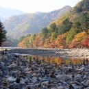 중국단풍길 이미지