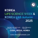 마이스코리아 네이버블로그