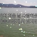 조항조-거짓말. 배경-강화 내가저수지&벚꽃길. 이미지