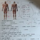 물리치료학과 교수님이 직접 코칭하고 체형교정-운동 코칭하는 대구 죽전 헬스장/대구 죽전 헬스/대구...
