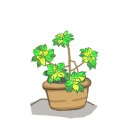 로봇이 움직이는 도서관 이미지