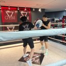 CLINCH복싱 이미지