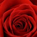 아이들이야기어학원 이미지