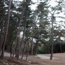 재송여자중학교 이미지