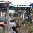 화현관광농원 이미지