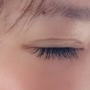 누누브로우 네이버블로그