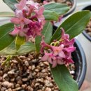 대림공판장 이미지