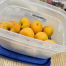 광성목장 이미지