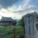 유등연지 둘레길 | 청도 가볼만한곳 연꽃명소 유등연지 군자정
