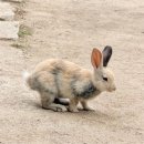 제주우리선박 | 가평 남이섬 커플여행 후기 | 주차장, 선박 가격, 짚와이어 가격 총정리