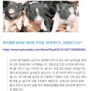 의주농장 이미지