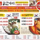 닭스토리 이미지