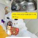 금촌 에버나인