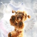 뭉개뭉개 이미지