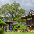 개랑 나들이 이미지