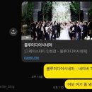 시네마비디오 | [블루미디어시네마] 2인 4캠 55만원 가성비 끝판왕 본식 DVD 계약 후기