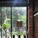 카페델피노 인근 이미지