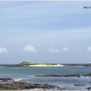 제주 토끼섬 문주란자생지 이미지