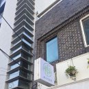 서울외국인학교 | 연희동 식물가게 '최소식물원' 방문 후기 식물샵 가볼만한곳 선물하기좋은식물 집들이선물