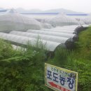 희성농장 이미지