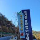 솔바람야영장 이미지