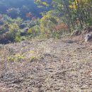 신세기공인중개사사무소 이미지