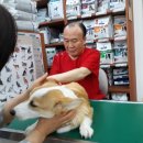 배박사 동물병원 이미지