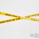 신광초등학교 앞 횡단보도 이미지