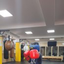 강일S짐 복싱클럽 명희관 이미지