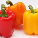 삼시세끼밥상 이미지