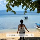 다이음주 | 마나도 4박 6일 자유여행 2인 총경비 정산 ! 100만 원 이하 가성비 치트키 후기