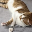 쉽게 그리는 어반스케치 네이버블로그
