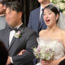 메종 드 캣 | 1) 냅다 웨딩 총평 || 본식 전야제와 D-DAY / w. 메종드아나하, 스띨레디허, 요닝, 드네플레르 / 본식...