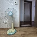 2025년 7월 31일(목) 출석부 / 사랑 이미지