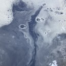 네이쳐 위클리 이미지