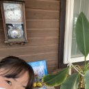 문무펜션 이미지