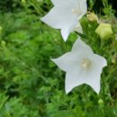 라파엘농장 이미지