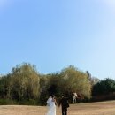 노을공원 | 서울 노을공원 야외 웨딩스냅 후기