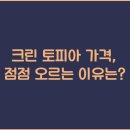 하나크린 이미지