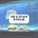 함께하는 월드 매직쇼 | 서울 및 경기 남부 아쿠아리움 BEST 3 완벽 비교 (롯데월드, 코엑스, 광교)
