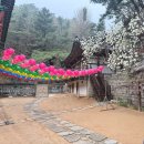 비봉길 | 서울 금선사 템플스테이(체험형) 후기 l 내돈내산 가격, 위치, 뚜벅이 방문 방법, 일정, 예약정보